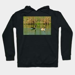 Two on a Pond Hoodie